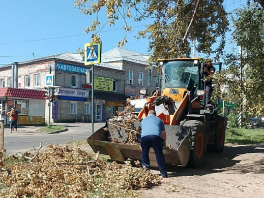 В Иванове продолжают убирать поваленные 8 июля деревья